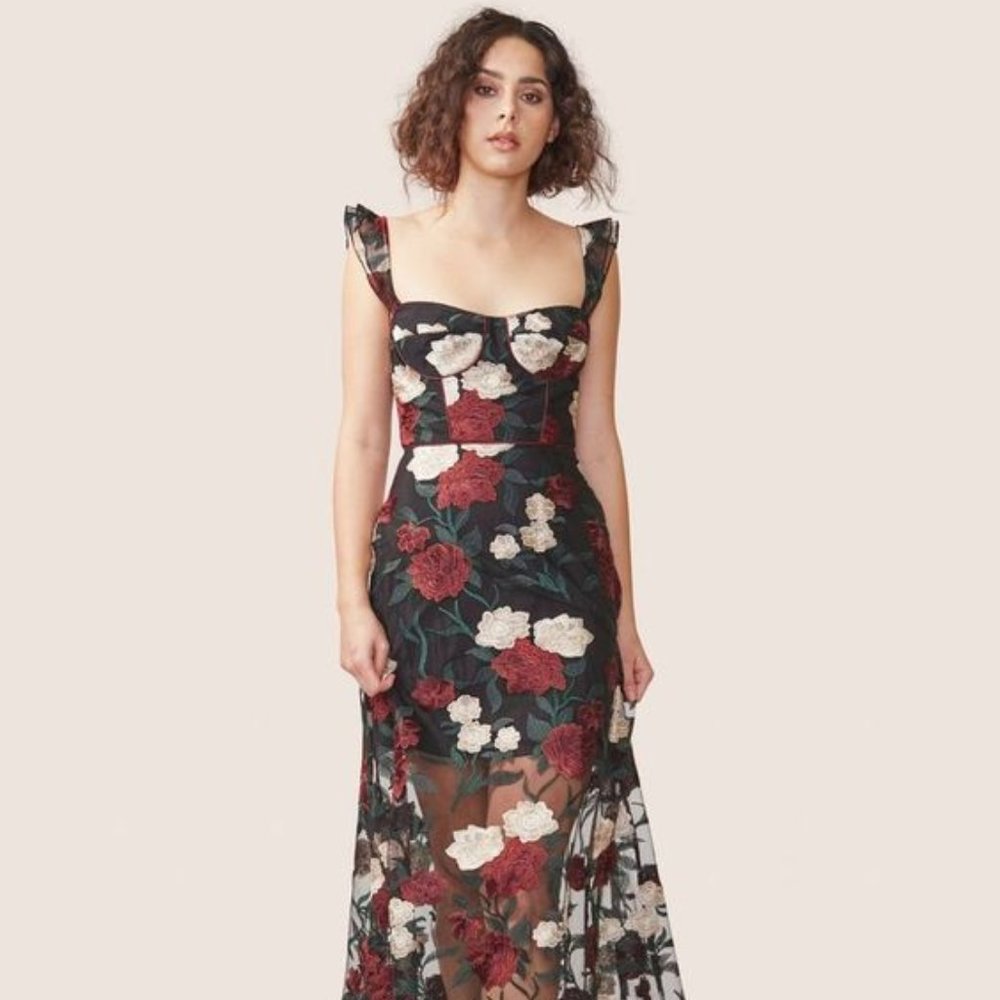 Allen Schwartz Mickey Bustier Embroidered Dress